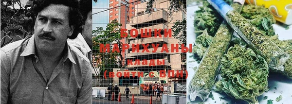 ALPHA PVP Остров