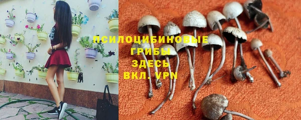 Альфа ПВП Осташков
