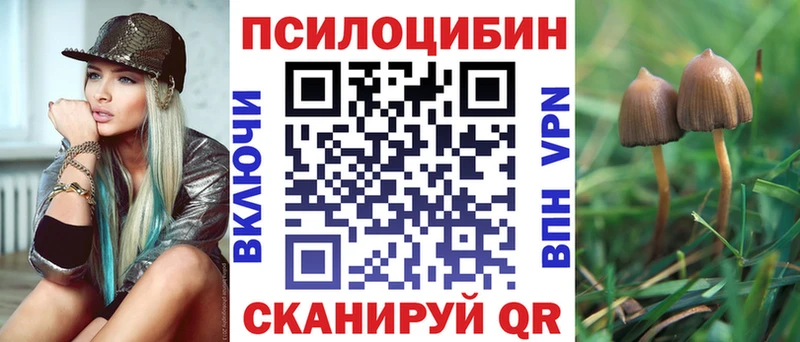 дарк нет формула  Пролетарск  Галлюциногенные грибы Psilocybe 