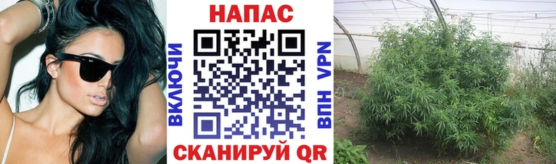 Бошки марихуана THC 21%  наркотики  Пролетарск 